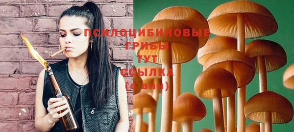 а пвп мука Киров