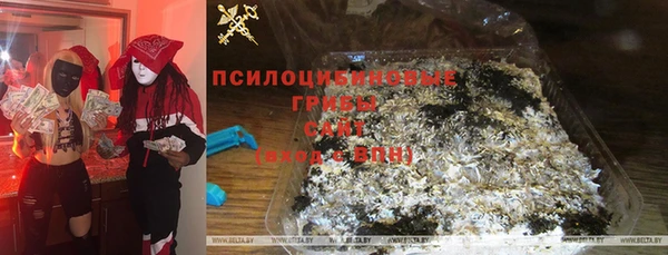 apvp Ладушкин