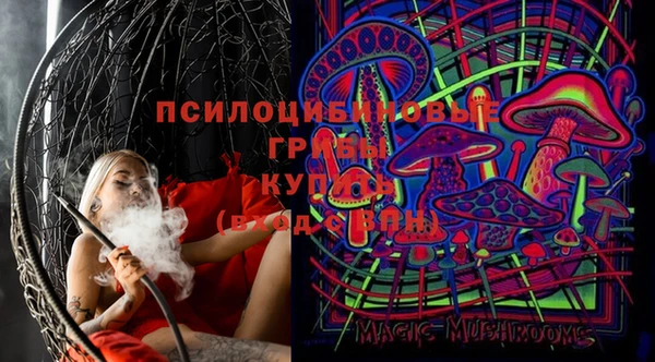 а пвп мука Кострома